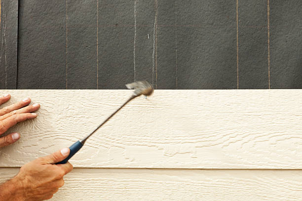 Best Vinyl Siding Installation  in Orchard Mesa, CO